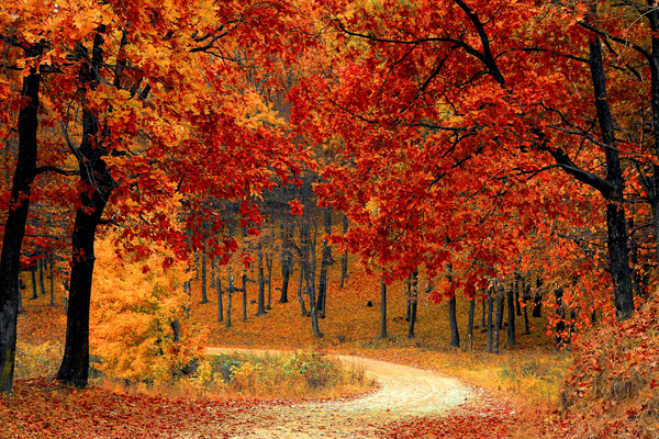 Comment s'habiller pour un mariage en octobre ?